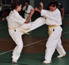 thumb_1110_kyokushin