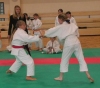thumb_1015_judoczki