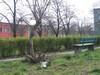 thumb_0409_samobojstwo
