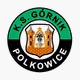 thumb_0413_gornik_p