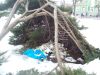 0224_smieci.jpg