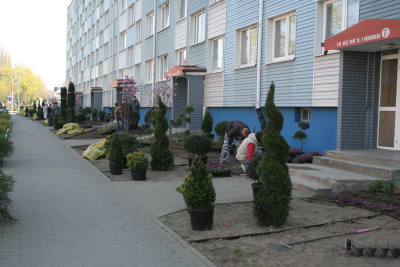 0417_zielen_kilinskiego.jpg