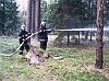 0706_pozar_lasu.jpg