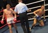 thumb_0622_low_kick