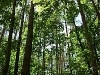 thumb_0703_las