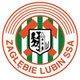 thumb_0731_logo_zaglebia.jpg