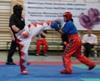thumb_1028_kick.jpg