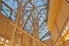 thumb_1107_galeria.jpg