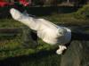 thumb_1128_jan_bez_palca_002.jpg