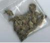 1206_narcotic.jpg