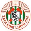 thumb_1107_logo_zaglebia.gif