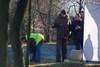 thumb_0113_serby_nowe_male.jpg