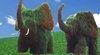 thumb_1231_sonie.jpg
