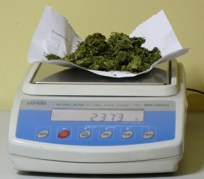 0130_narko2.jpg