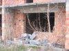 thumb_0406_zarkow.jpg
