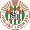 thumb_0205_logo_pilkarskiego_zaglebia.jpg