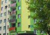 thumb_0225_drzewa.jpg