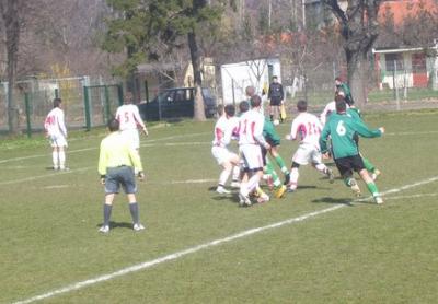 0330_szkolka.jpg
