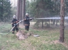0605_pozar_lasu.jpg
