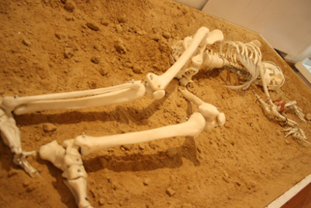 1_nbsp_163.jpg