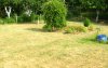 0718_susza.jpg