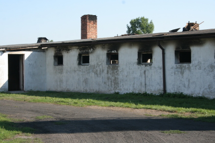 0731_kurnik.jpg