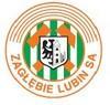 thumb_0731_new_logo_zaglebia.jpg