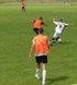 thumb_0807_sparing.jpg