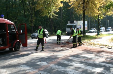 1010_plama.jpg