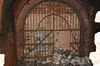 thumb_1027_fosa1.jpg