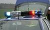 thumb_1030_kogut_policji.jpg