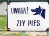 thumb_0616_zly_pies.jpg