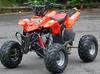 thumb_0202_quad.jpg