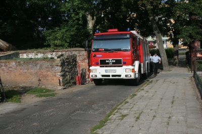 0902_drzewo3.jpg