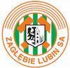 thumb_0223_logo_zaglebia.jpg