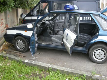 polo2.jpg
