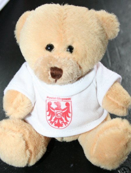 0729_powiatek.jpg