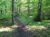 thumb_1010_trasa.jpg