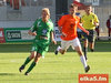 1025_mlode_zaglebie.jpg