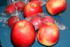 1026_owoc.jpg