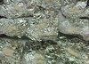 thumb_1123_narko.jpg
