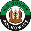 0330_gornik.jpg