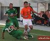 thumb_0402_mlode_zaglebie.jpg