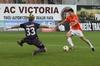 thumb_0511_mican_gooool.jpg