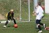thumb_0613_podworkowe.jpg