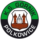 0623_gornik.jpg