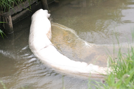 0720_wyciek2.jpg