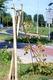 thumb_0802_drzewko.jpg