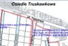1022_truskawkowe.jpg
