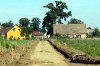 1119_wies.jpg
